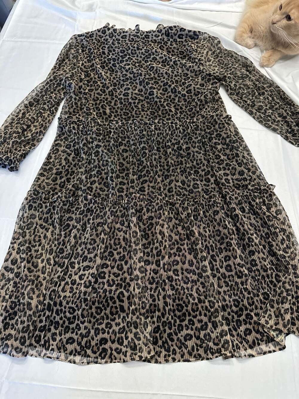 Just... Taylor Animal Print Tiered Long Sleeve Dress